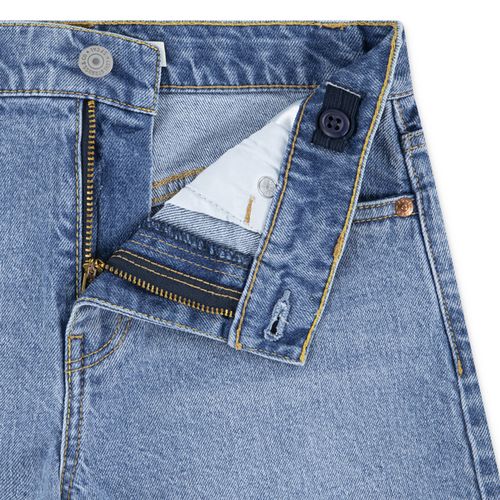 Levis A line shorts - hollow days